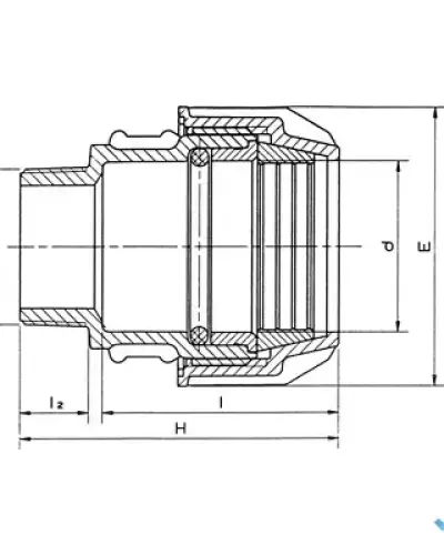 מצמד הברגה חיצונית 25 × 1″