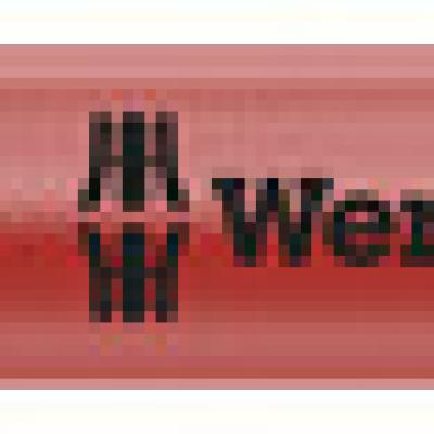 ביט פיליפס מגנטי ACR SL PH2X200 8534 WERA