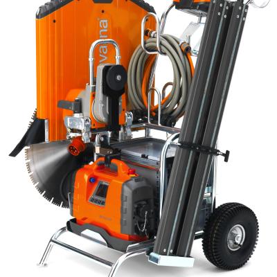 מסור קירות WS220