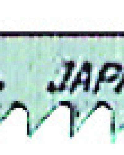 מארז מסוריות למסור אנכי 100X7X9 עץ MAKITA