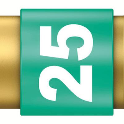 ביט טורקס מוזהב BDC 8671 TX25X25 WERA